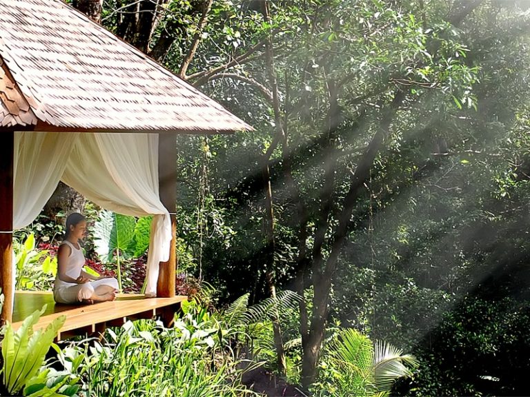 Maya Ubud Resort & Spa 5*