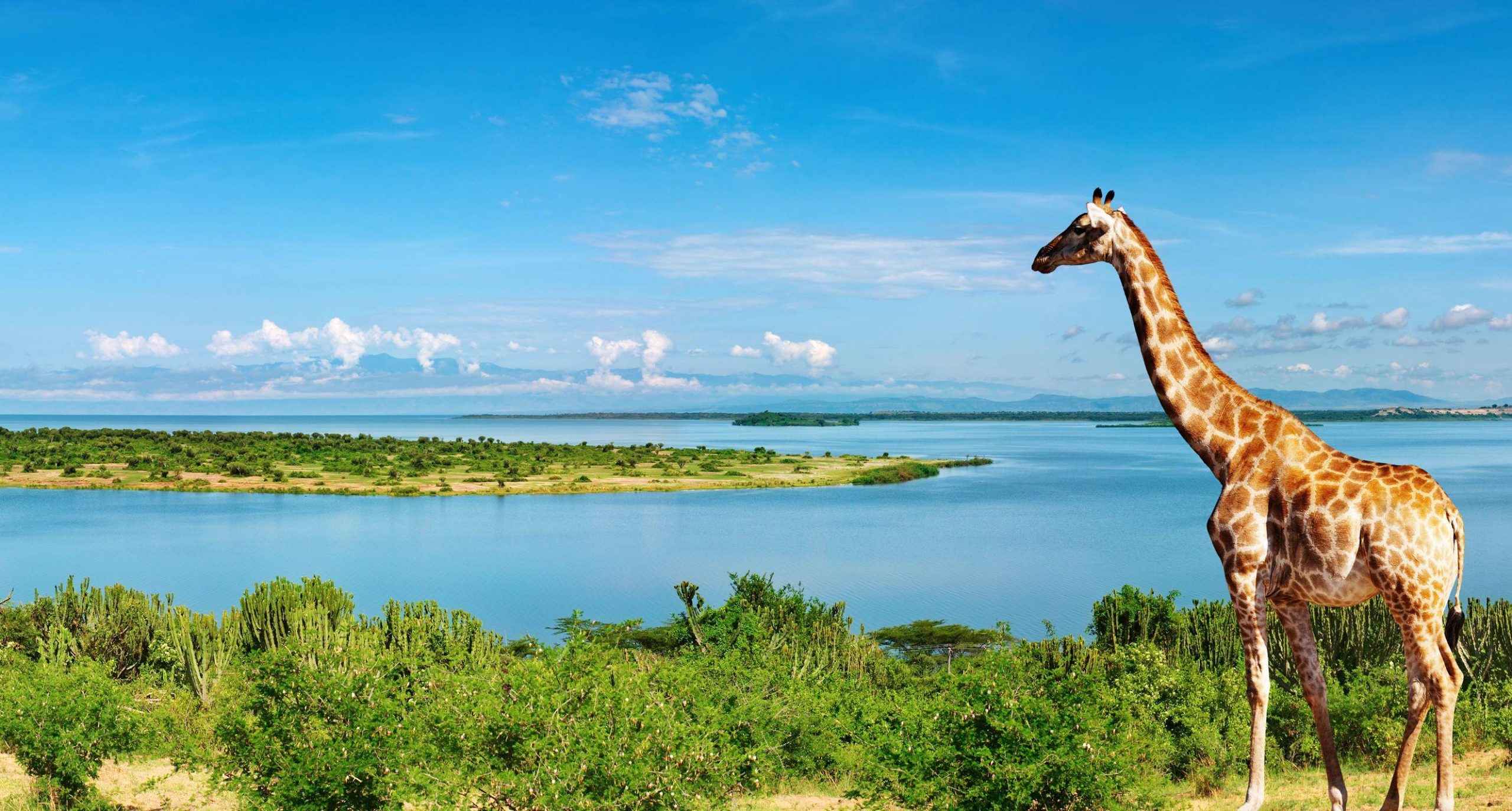 Uganda sălbatică - de la junglă la savană, Small Group (10 zile / 7 nopți) by Perfect Tour