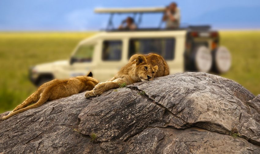 Tanzania autentica - safari 8 zile by Perfect Tour