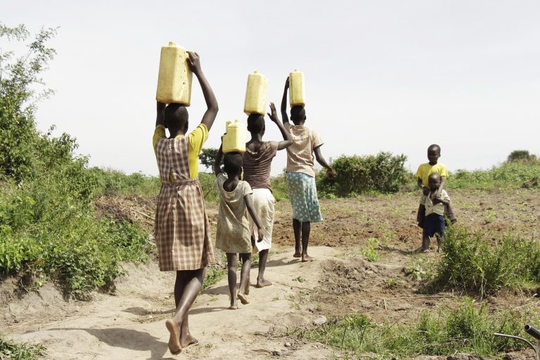Uganda sălbatică - de la junglă la savană, Small Group (10 zile / 7 nopți)