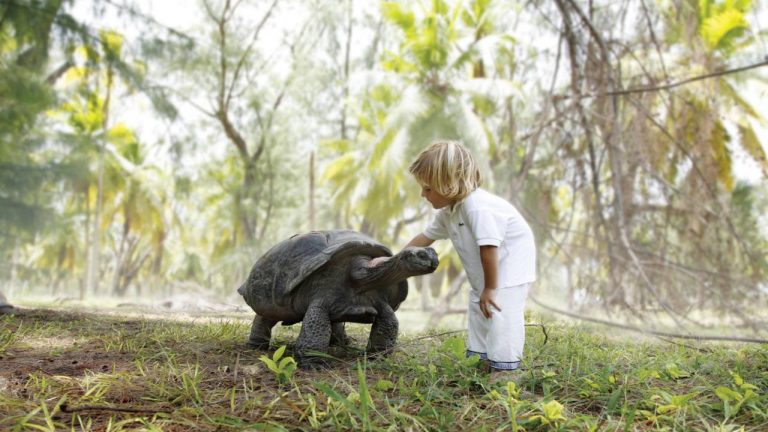 Four Seasons Resort Seychelles at Desroches Island 6*