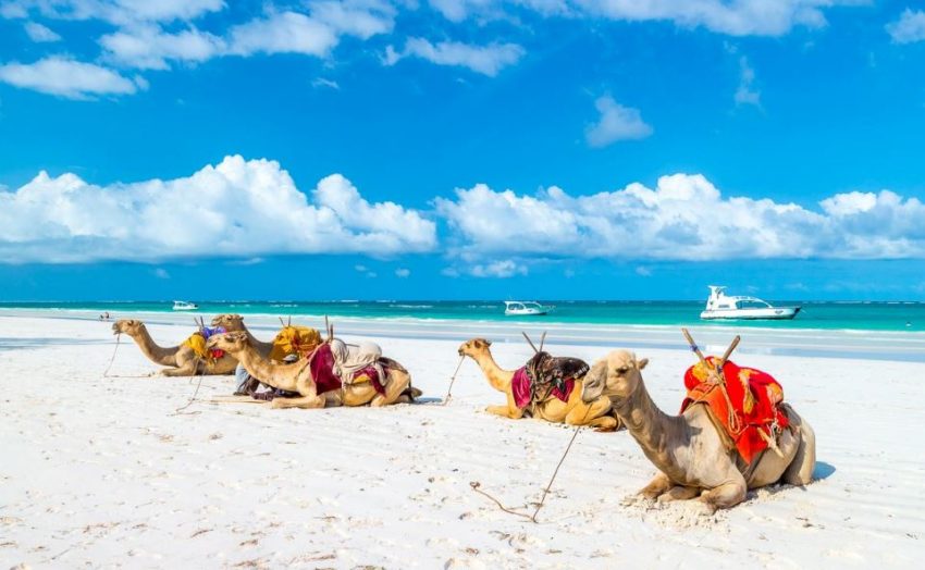 Oferta irezistibila de la Air France: bilet avion Bucuresti - Mombasa