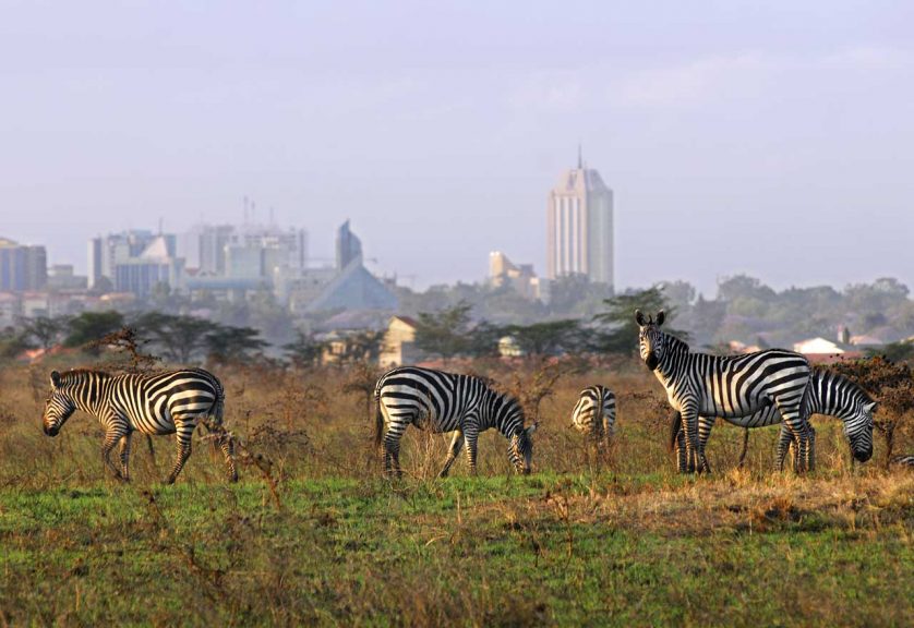 Propunere de la KLM pentru iarna aceasta: bilet avion Bucuresti - Nairobi by Perfect Tour