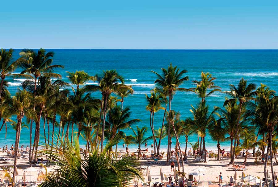 Riu Palace Bavaro Hotel 5* by Perfect Tour