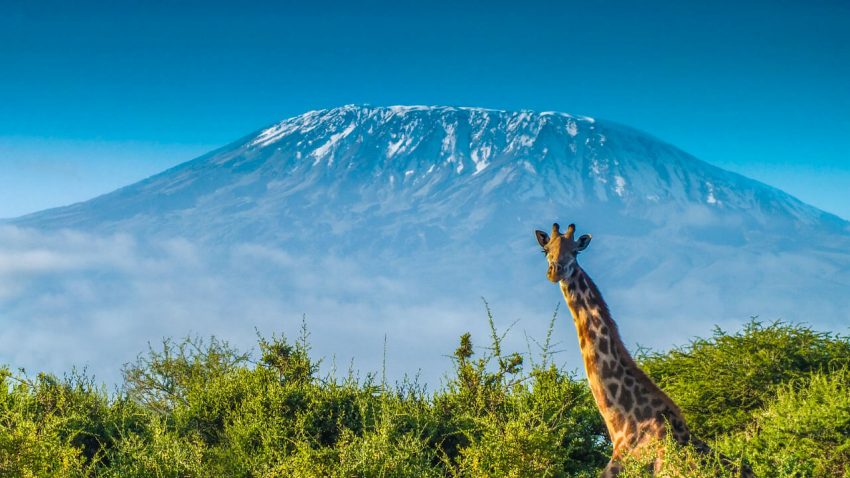 Oferta aniversara de la Air France: bilet avion Bucuresti - Kilimanjaro by Perfect Tour