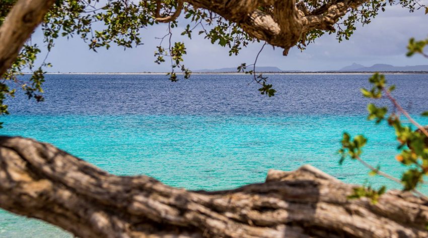 Oferta de la KLM: bilet avion Bucuresti - Bonaire by Perfect Tour