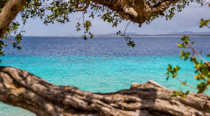 Oferta speciala de la KLM: bilet avion Bucuresti - Bonaire by Perfect Tour