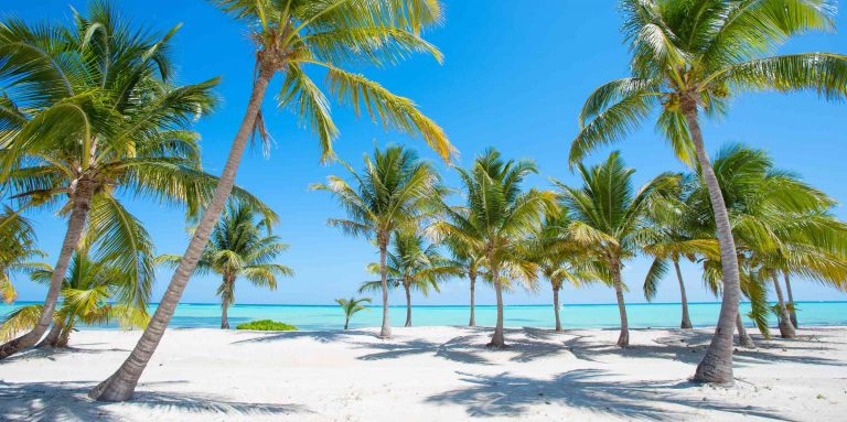 Tarife speciale de la Air France: bilet avion Bucuresti - Punta Cana