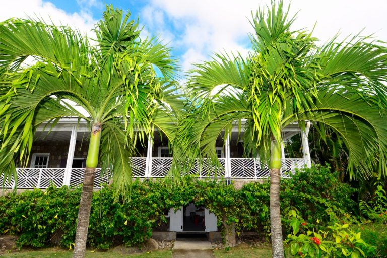 Montpelier Plantation & Beach 5*