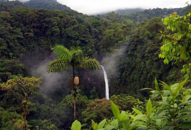 Guiana Franceza