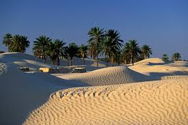 Tunisia, bijuteria ascunsa a Africii de Nord - Senior Voyage