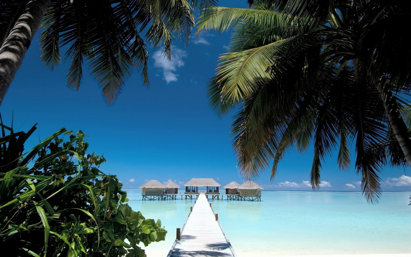 Campania Early Bird de la Turkish Airlines: bilet avion Bucuresti - Maldive by Perfect Tour
