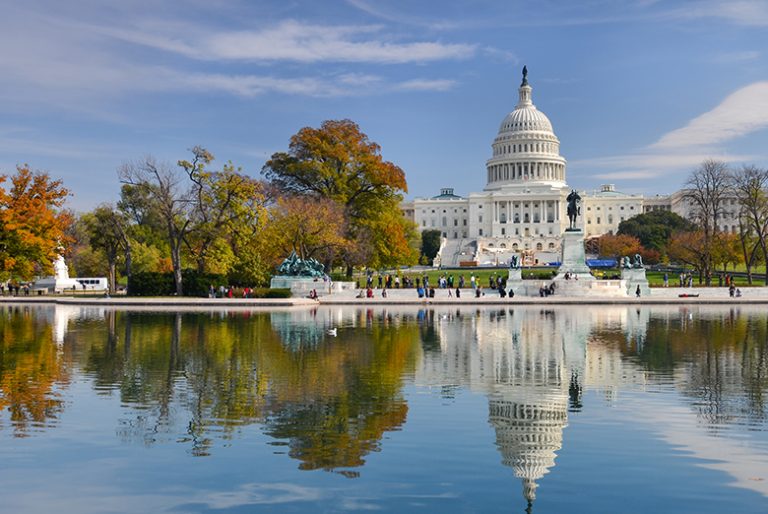 Fly Fest de la Turkish Airlines: bilet avion Bucuresti - Washington