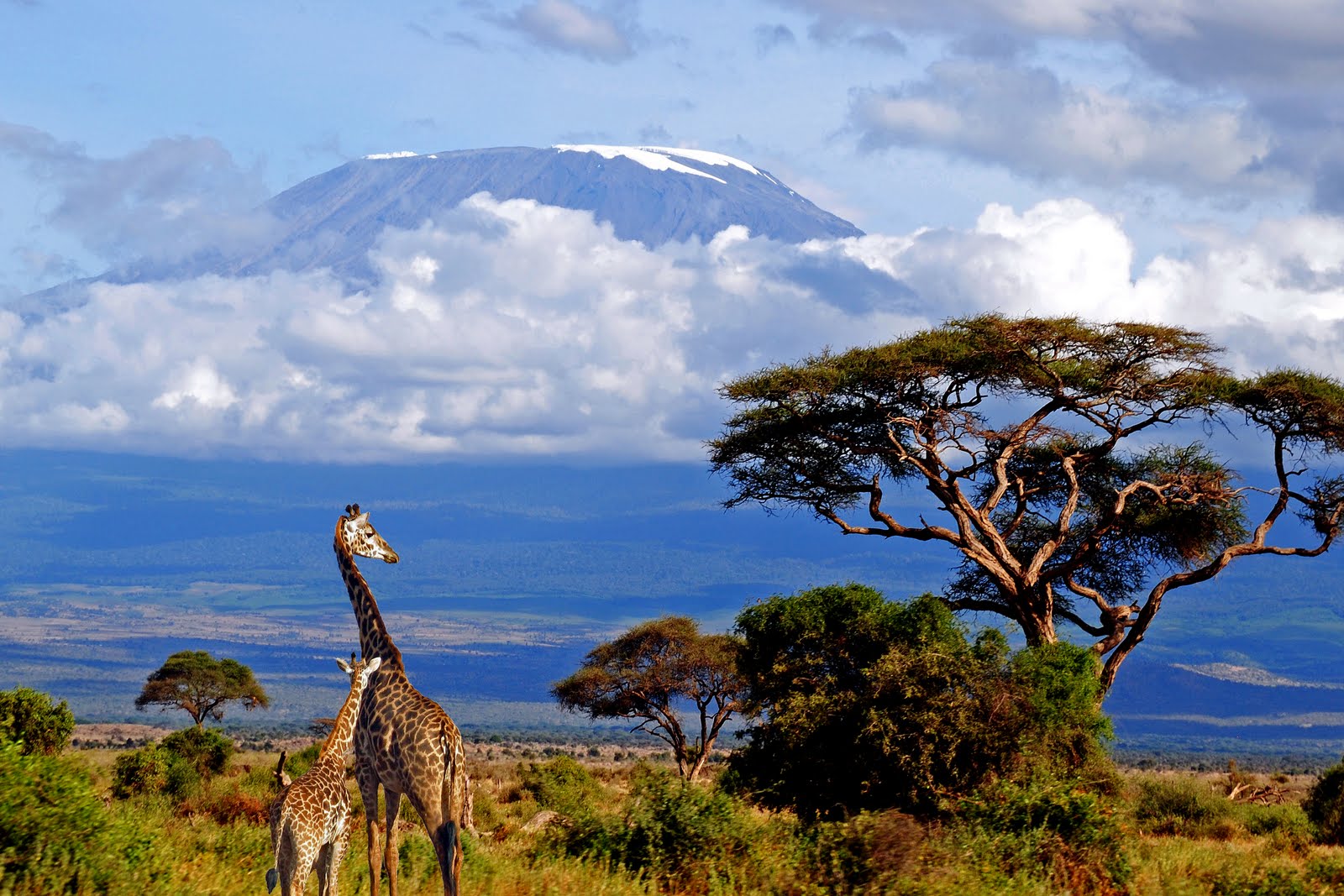 Spiritul Tanzaniei - între viața sălbatică și tradiția Maasai, Small Group (12 zile / 9 nopți) by Perfect Tour