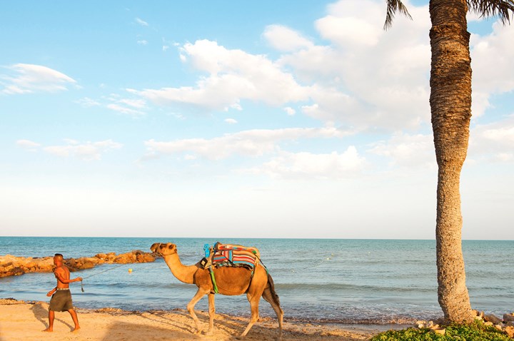 Sentido Djerba Beach Resort 4* by Perfect Tour