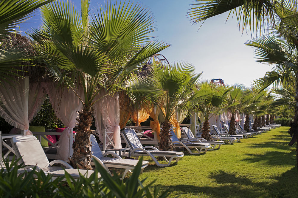 Delphin Diva Premiere Resort 5* by Perfect Tour - 5 | YEO
