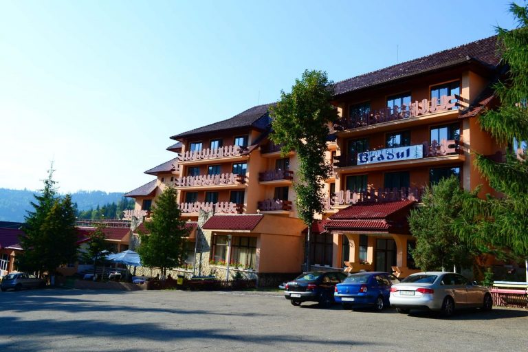 Revelion la Durau - Hotel Bradul 3*