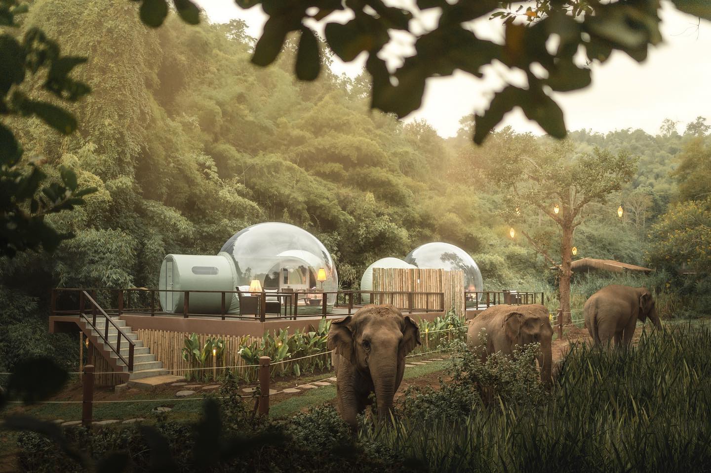 Anantara Golden Triangle Elephant Camp & Resort 5* by Perfect Tour - 2 | YEO