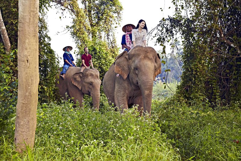 Anantara Golden Triangle Elephant Camp & Resort 5* by Perfect Tour - 5 | YEO