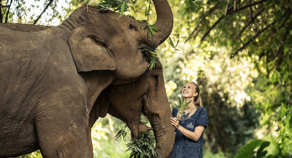 Anantara Golden Triangle Elephant Camp & Resort 5* by Perfect Tour