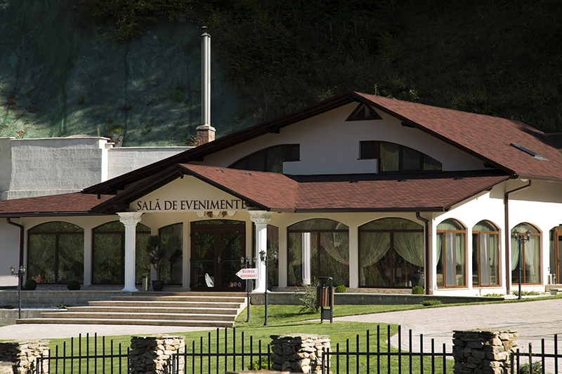 Pensiunea Perla Martiniei NSD 5* imaginea 10