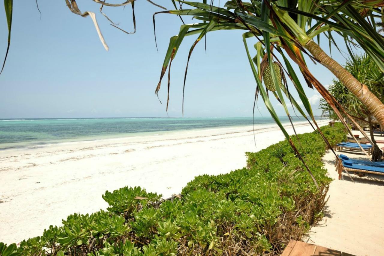 Villa Kiva Boutique 4* by Perfect Tour - 4 | YEO