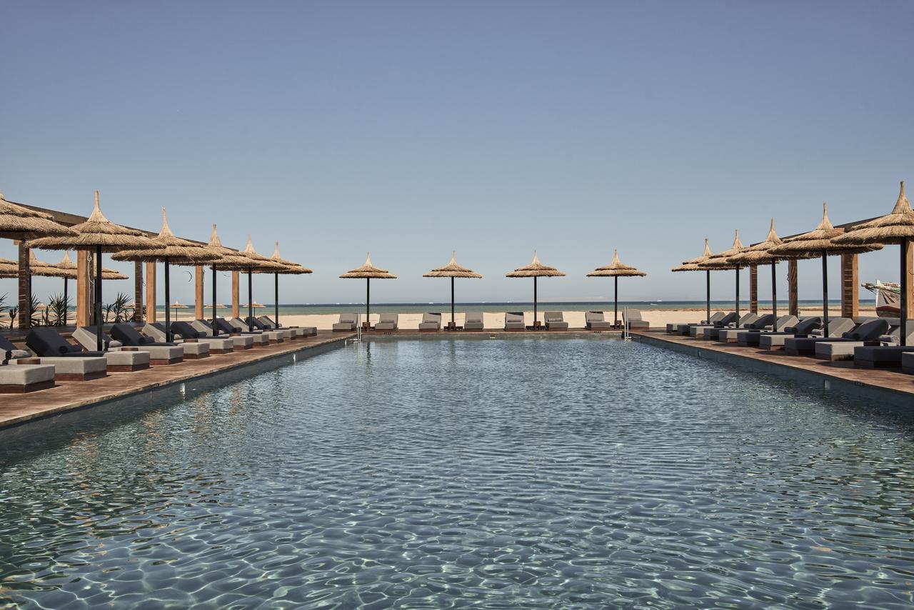 Cooks Club El Gouna 4* (adults only) by Perfect Tour - 4 | YEO