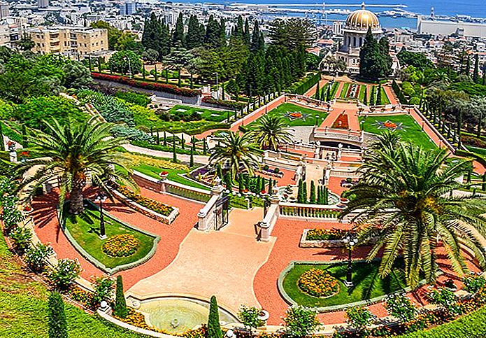 Haifa