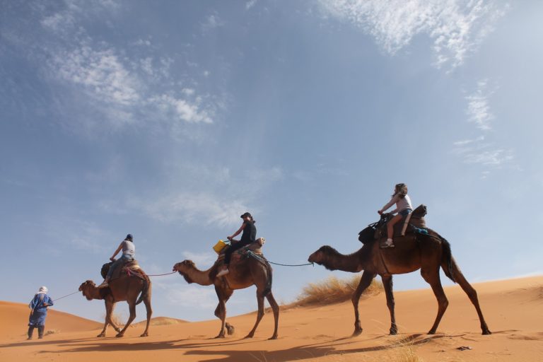 Tunisia, tara unica prin exotism, cultura si traditii (circuit 8 zile/7 nopti)