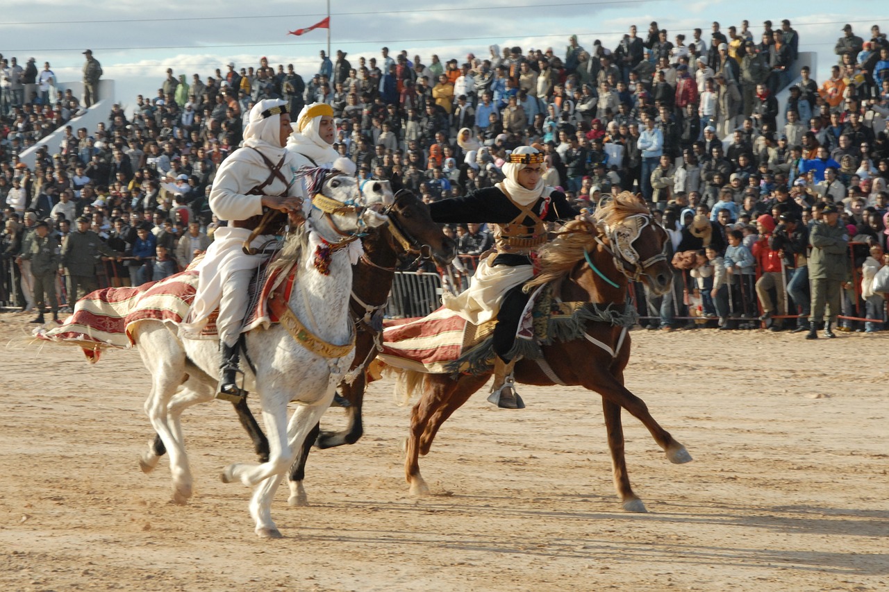 Tunisia, tara unica prin exotism, cultura si traditii (circuit 8 zile/7 nopti) by Perfect Tour