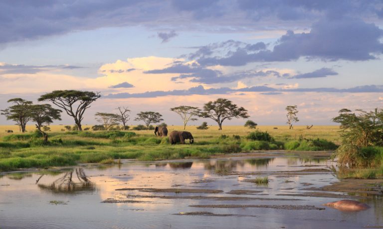 Oferta de la KLM: bilet avion Bucuresti - Dar es Salaam