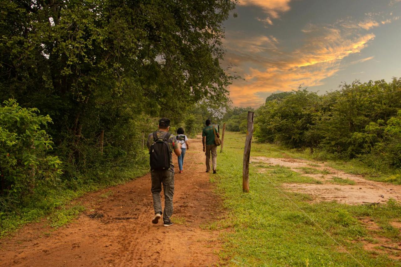 Mahoora Tented Safari Camp - Wilpattu 5* by Perfect Tour