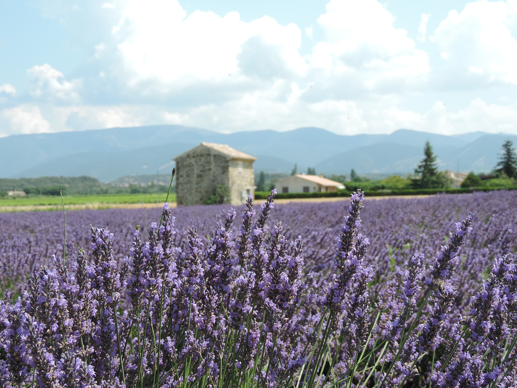 Provence