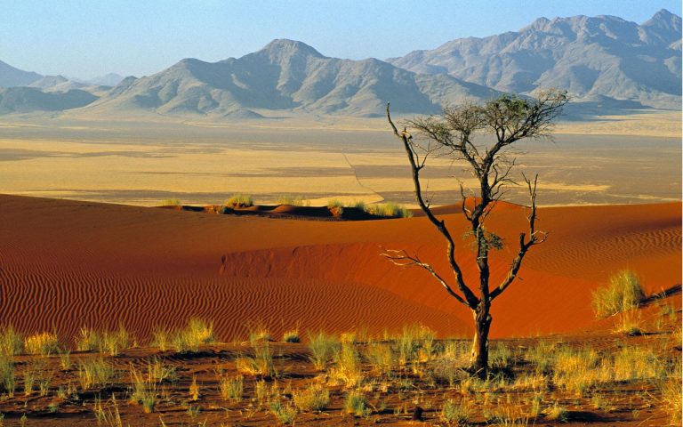 Best of Namibia (circuit 11 nopti)
