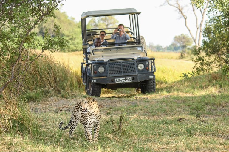 Drifters: Botswana Explorer Maun - Victoria Falls (circuit 11 nopti)