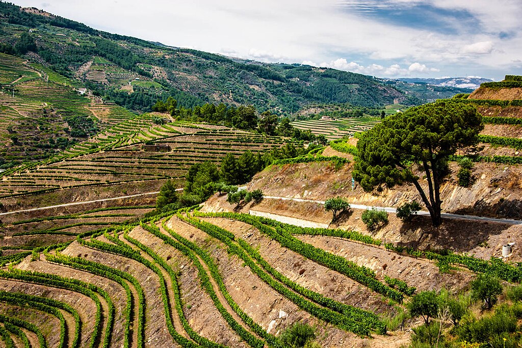 Douro Valley