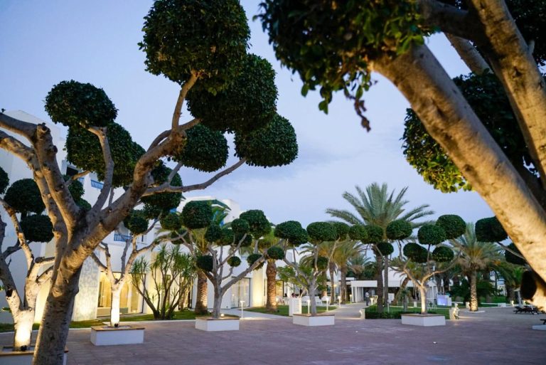 The Mirage Resort & SPA 5* (Hammamet)
