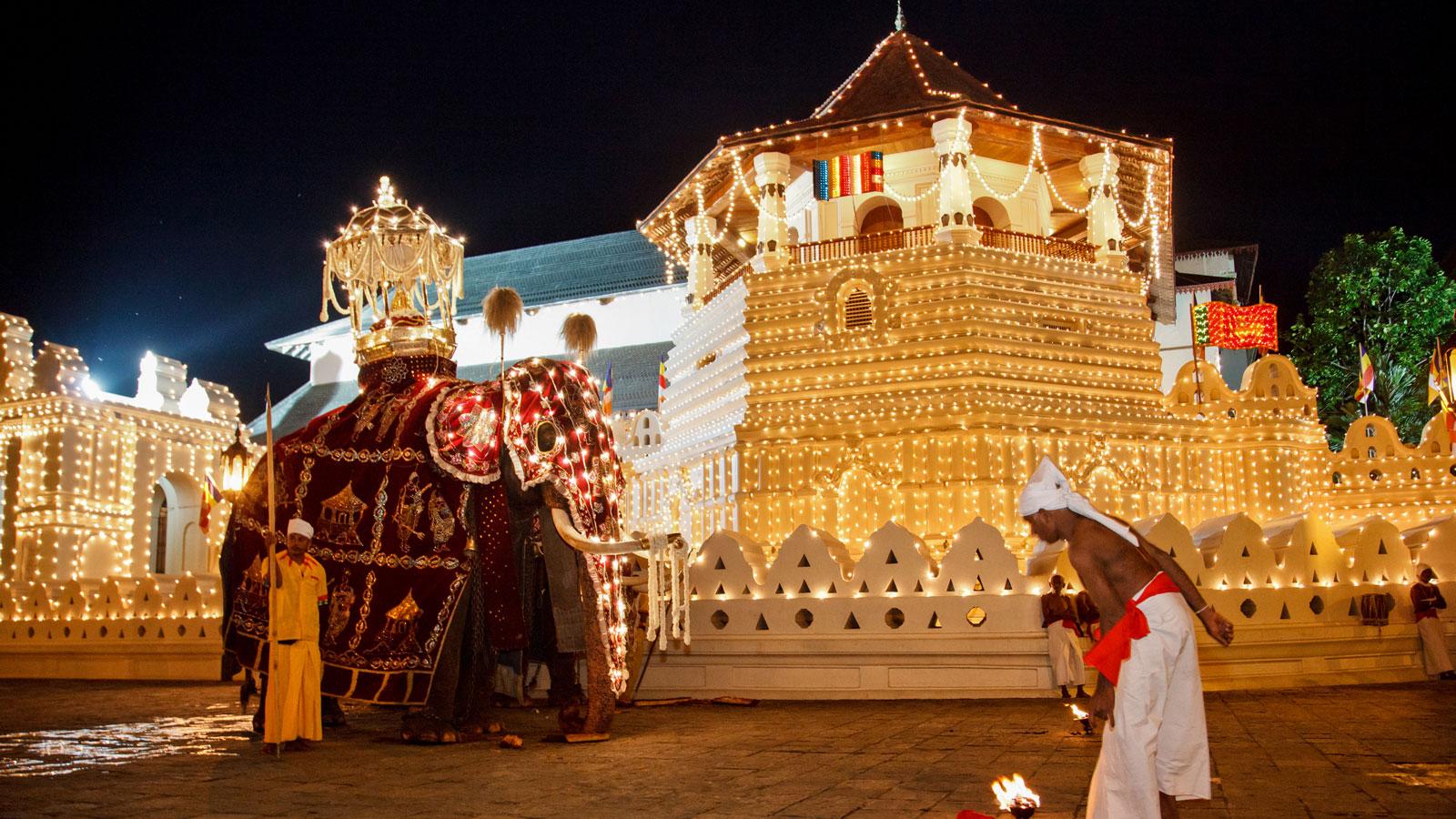 Circuit Sri Lanka & Maldive - Grup cu însoțitor, 28.11-10.12.2024 (13 zile / 10 nopți)