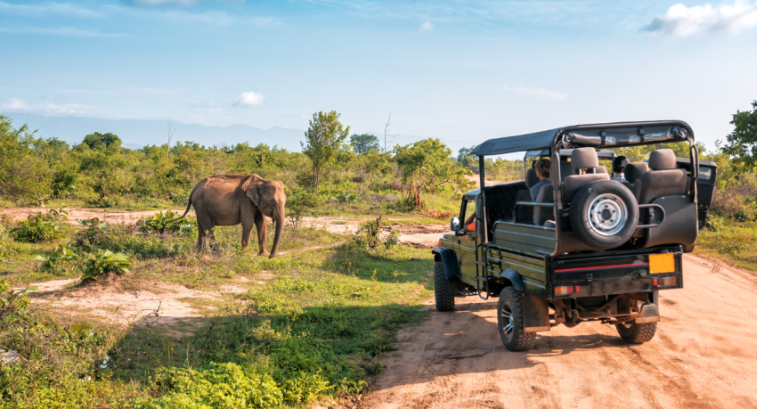 safari parc europa