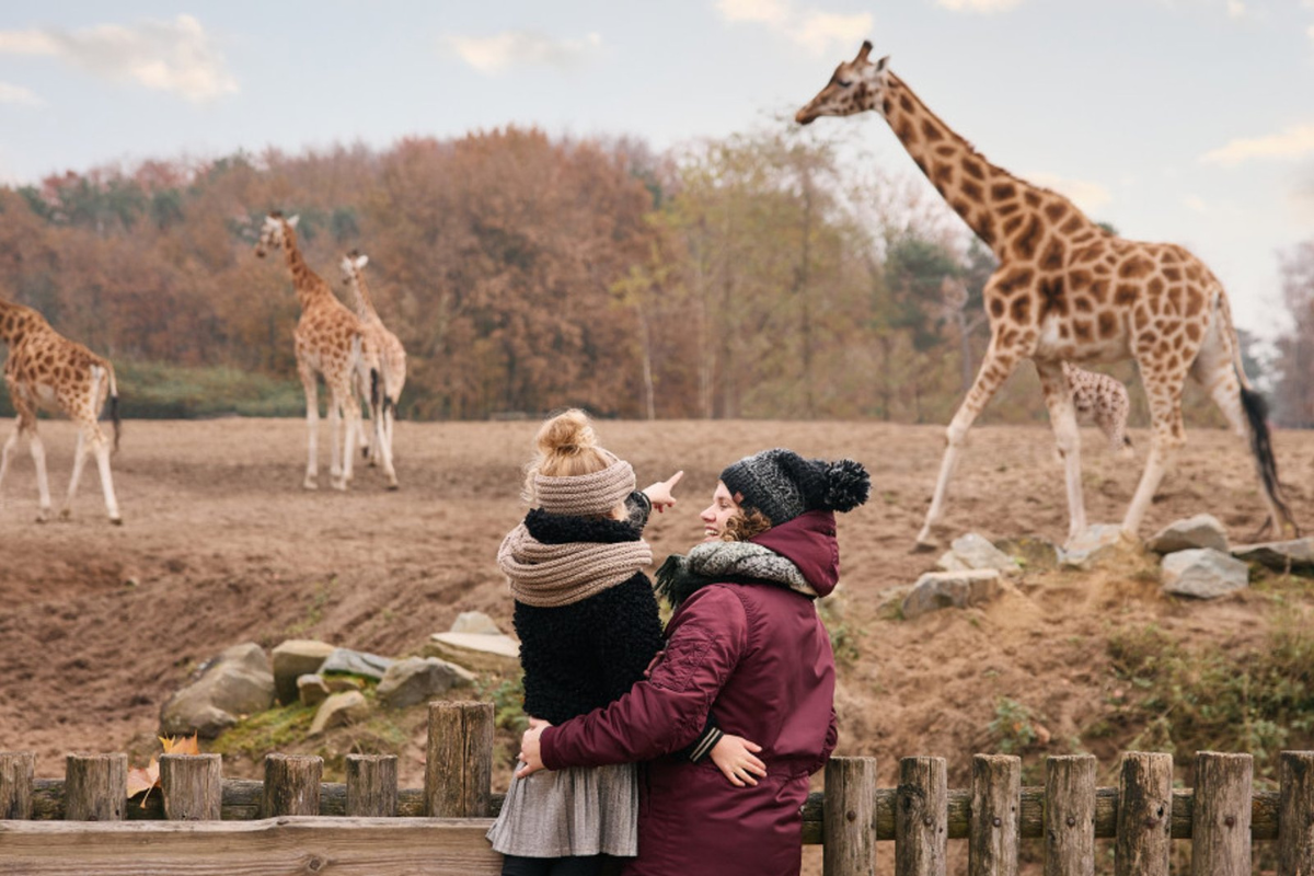 https://www.beeksebergen.nl/