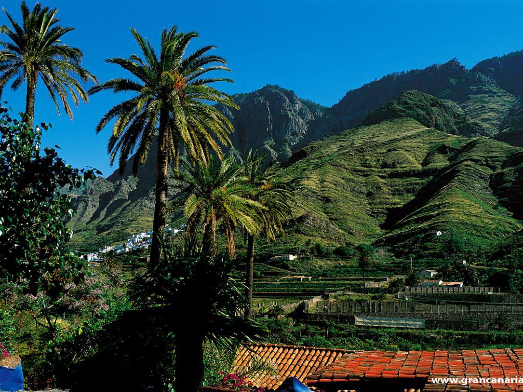 Carnaval Santa Cruz de Tenerife 2025: Island Hopping în Insulele Canare - Grup cu însoțitor by Perfect Tour