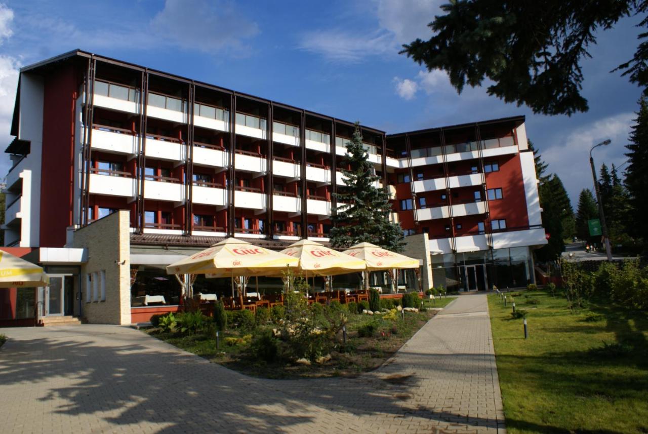 Revelion la Predeal - Hotel Carpati 3* imaginea 6