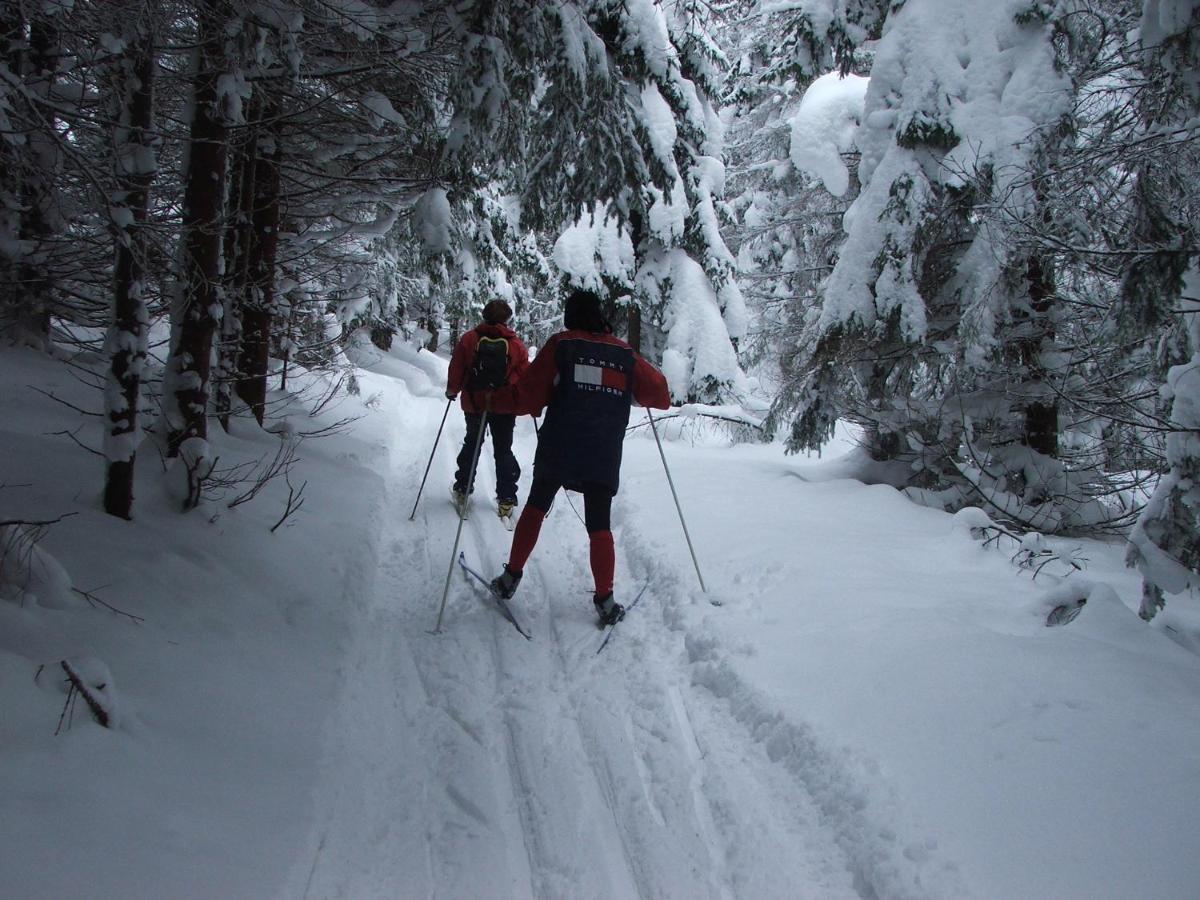 La ski in Slovacia - Bachledka Strachan 4* by Perfect Tour - 4 | YEO