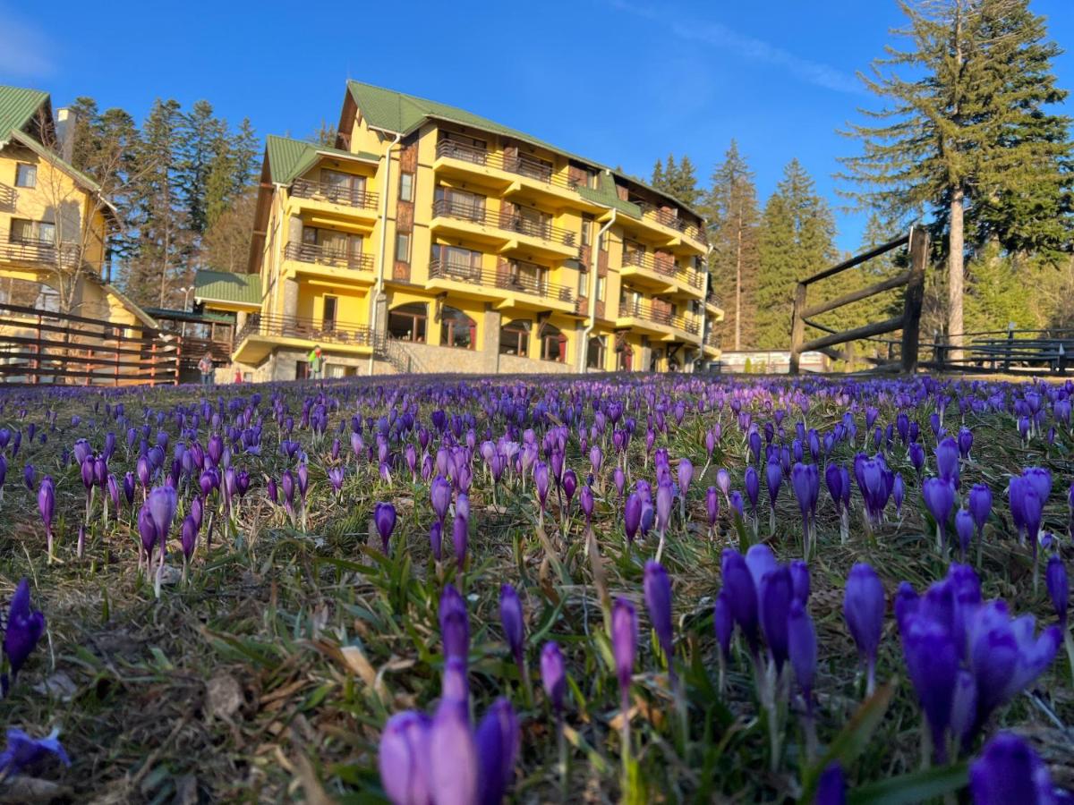 Sarbatori Pascale la Casa Viorel 3*, Poiana Brasov by Perfect Tour - 1 | YEO