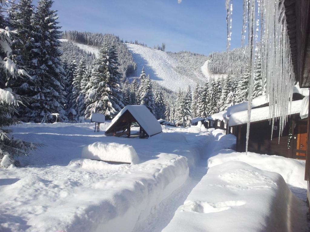 Chaty Jasná 4* by Perfect Tour - 1 | YEO