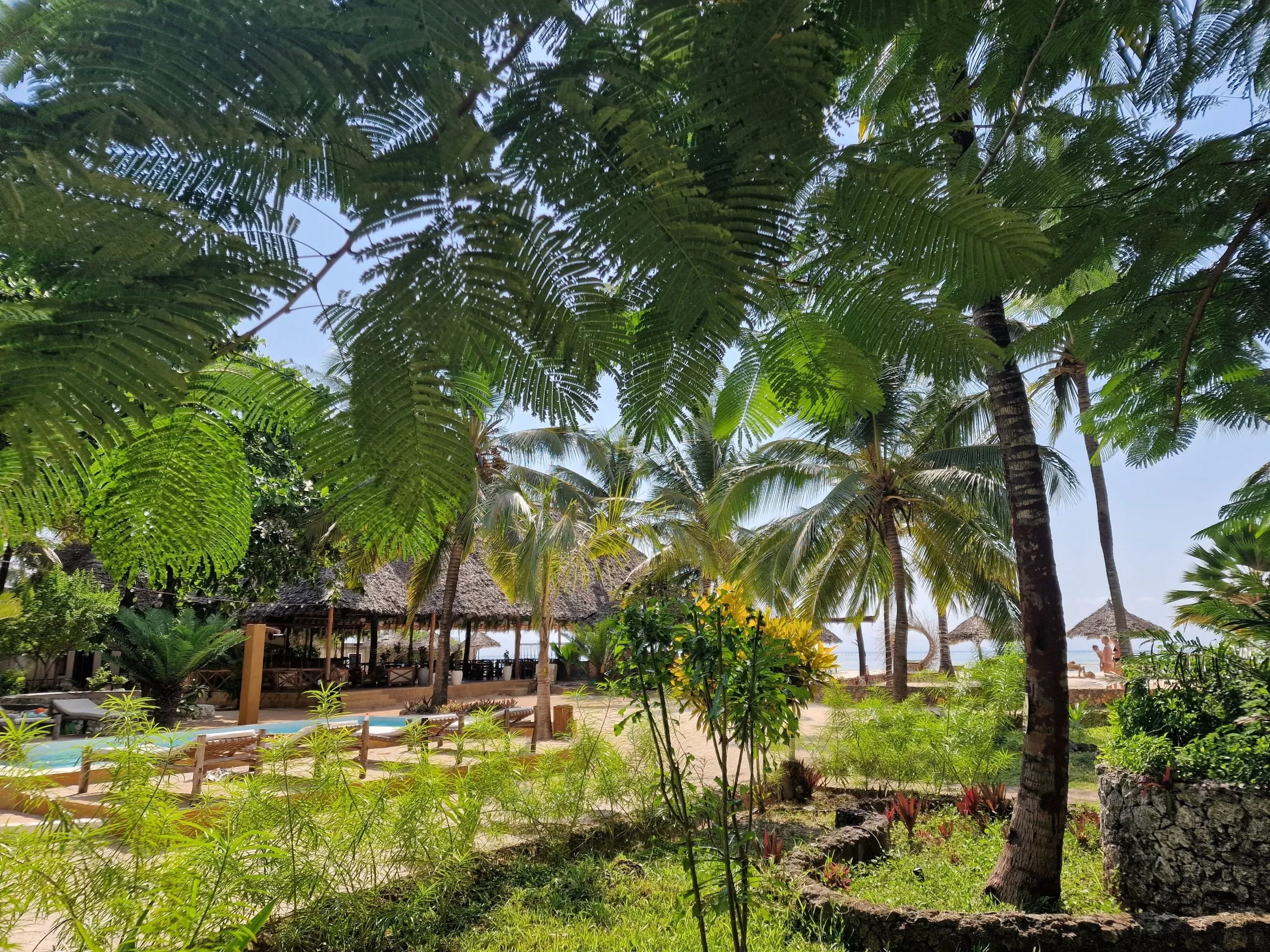Mambo Ocean Resort 4* by Perfect Tour - 3 | YEO
