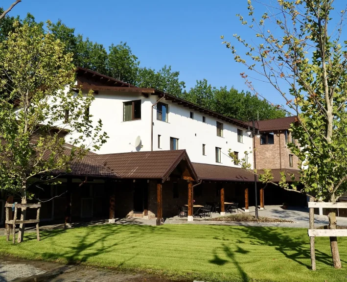 Singureni Manor, Equestrian Retreat