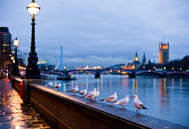 City-break în Londra, Anglia (4 zile / 3 nopți)